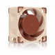 NOCTUA - Noctua NF-A4x20 FLX Carcasa del ordenador Ventilador - 8790806